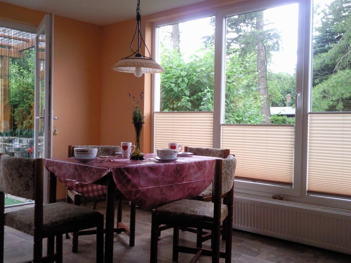 Ferienhaus Harzer Bauernhof Thale Kültér fotó