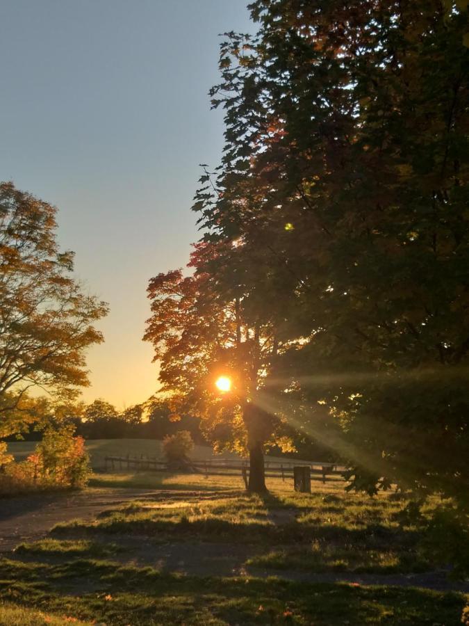 Ferienhaus Harzer Bauernhof Thale Kültér fotó